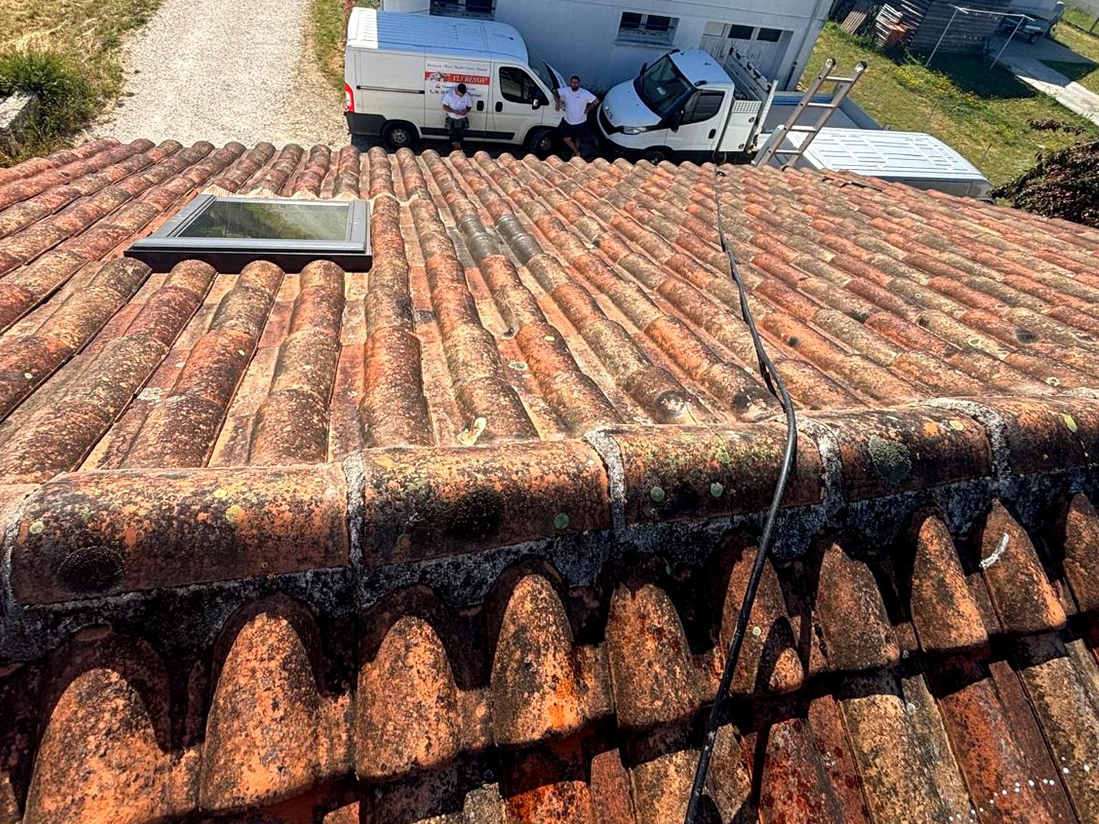 Toiture avant démoussage, mousse et lichens sur tuiles