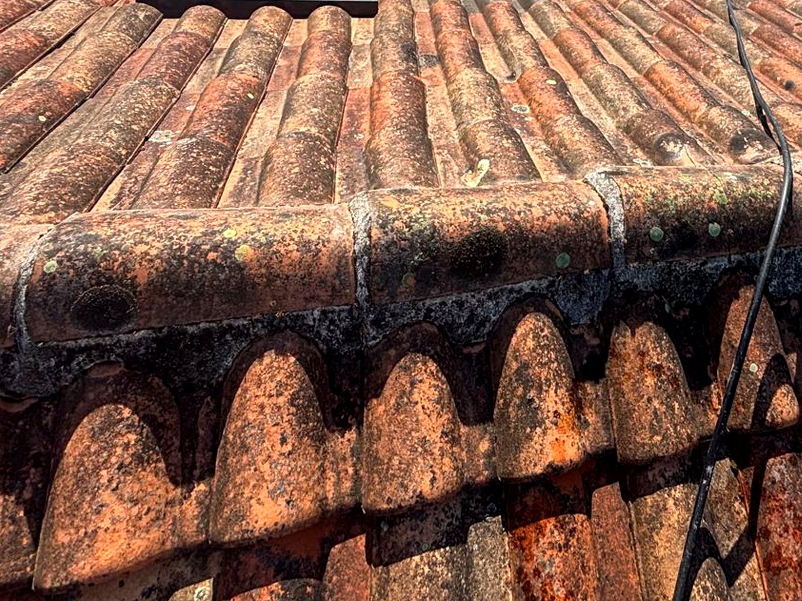 Toiture en tuiles avant démoussage, mousse et lichens visibles - chantier en Charente